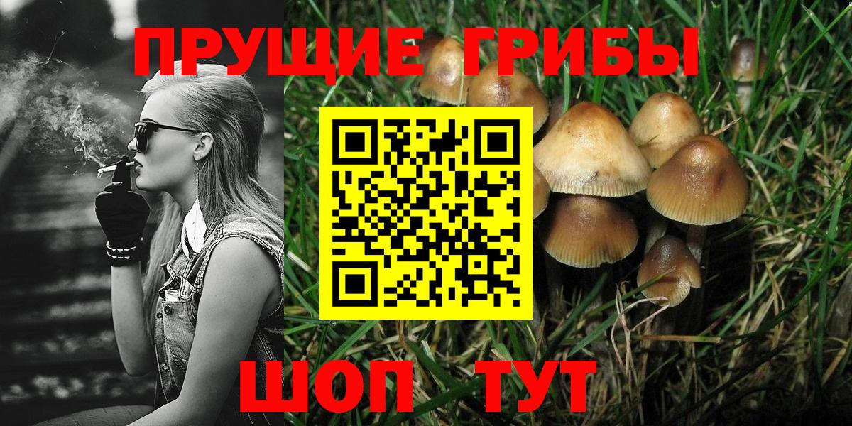 Галлюциногенные грибы GOLDEN TEACHER Екатеринбург